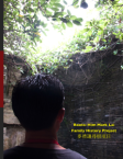 Book printed for Frank Lee
